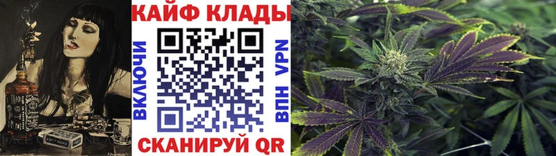 Виды наркоты Первомайск Конопля  Галлюциногенные грибы  Гашиш  Cocaine 