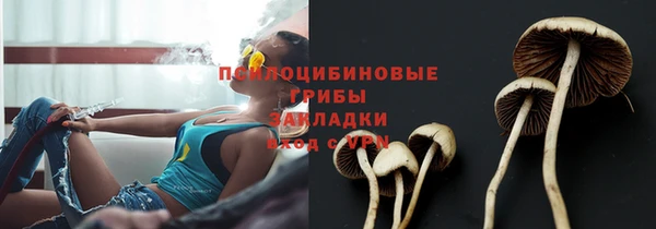 мдпв Елабуга