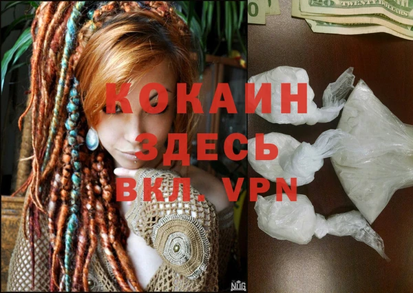 мдпв Елабуга