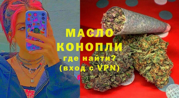 мдпв Елабуга