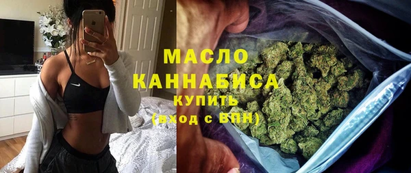 мдпв Елабуга
