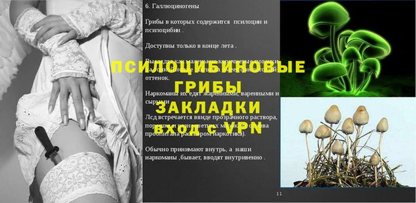 спиды Елизово