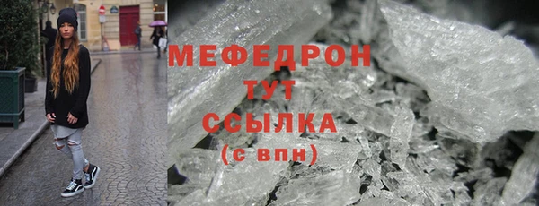 мдпв Елабуга