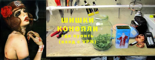 мдпв Елабуга