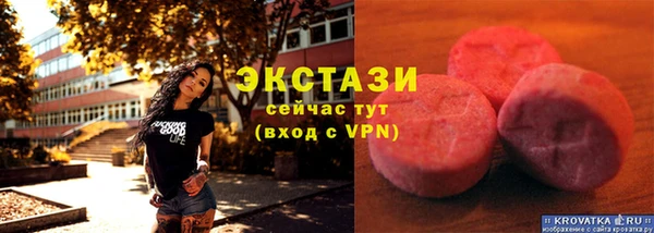 мдпв Елабуга